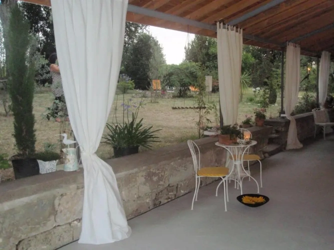 Standard Double room with garden view