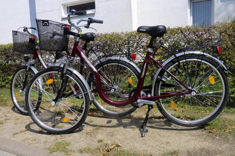 Papillon Wohnung 06-2