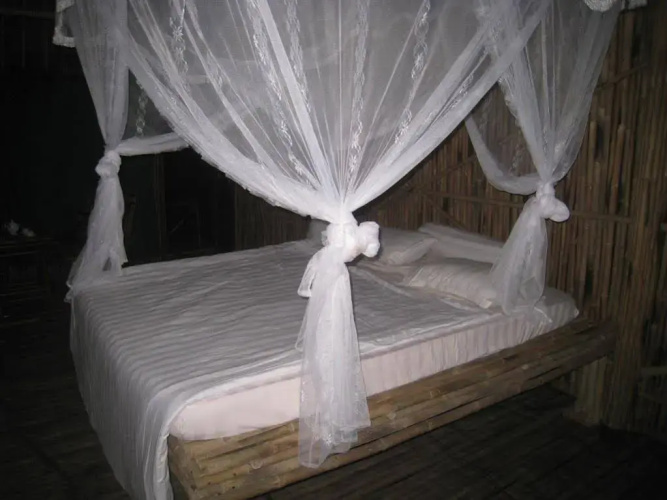Green Bamboo Lodge