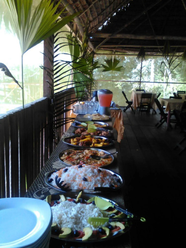 Amazon Queen Lodge