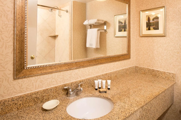 Double Suite with pool view