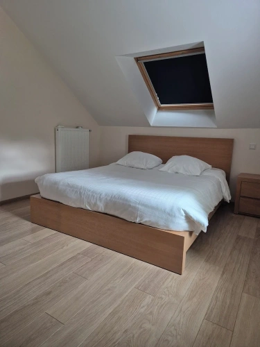 Classic Apartment