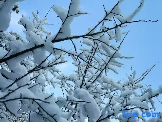 Jilin Yilin Residence