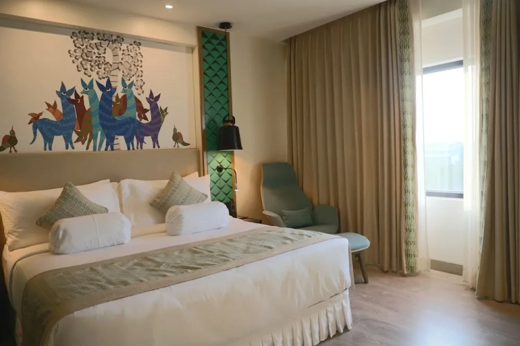 Premium Single room
