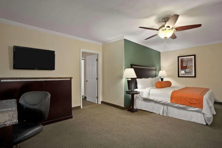 Double Suite
