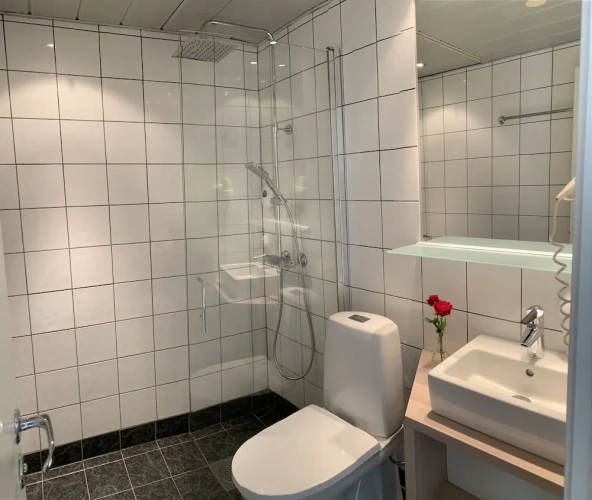 Superior Double room with balcony and with river view