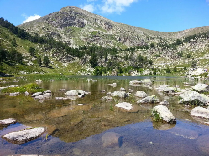 Cerdanya Viva Ecoestades