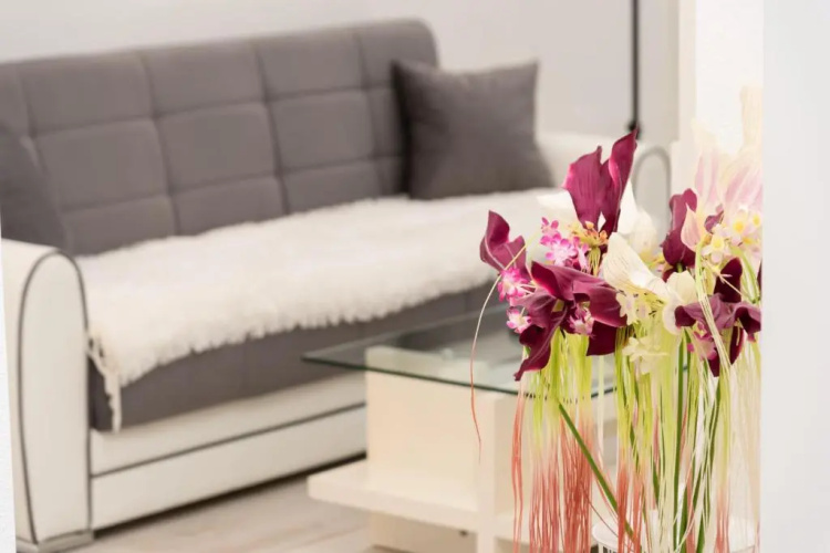 Apartment Antonio