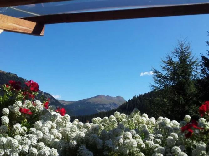 2 Bedrooms Apartment with balcony