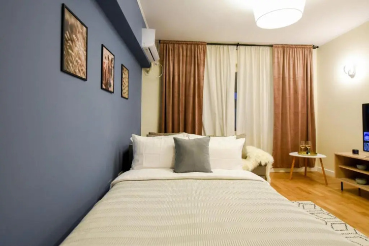 THE DREAM Apartment - Near Radisson Hotel