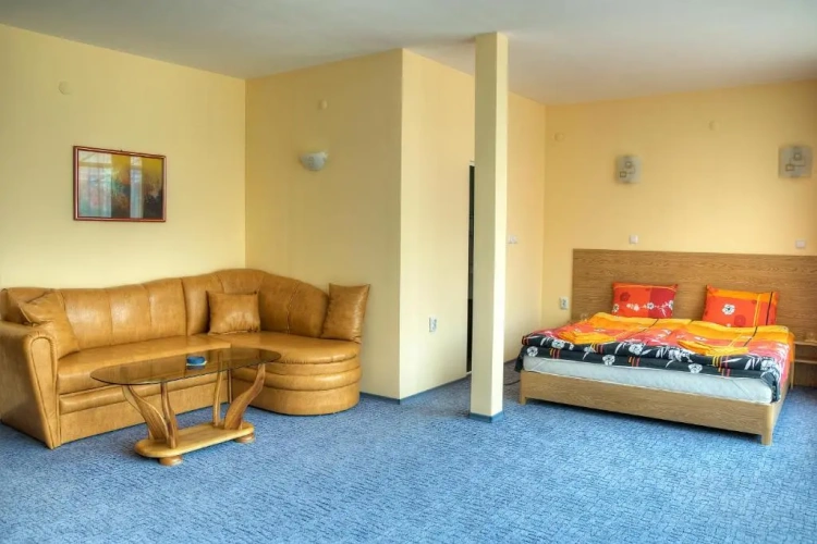Deluxe Studio with balcony and with view