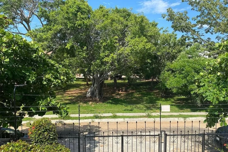 Standard Double room with park view