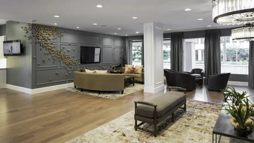 Bright Comfort in DC Apts