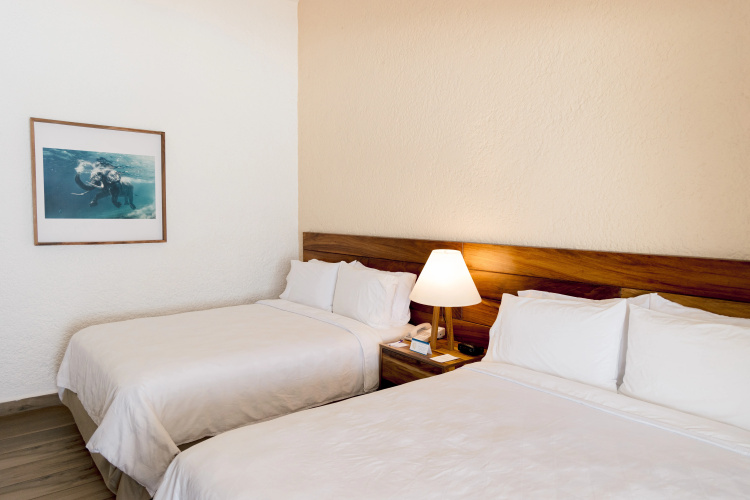 Holiday Inn Resort Ixtapa All-Inclusive photo 7