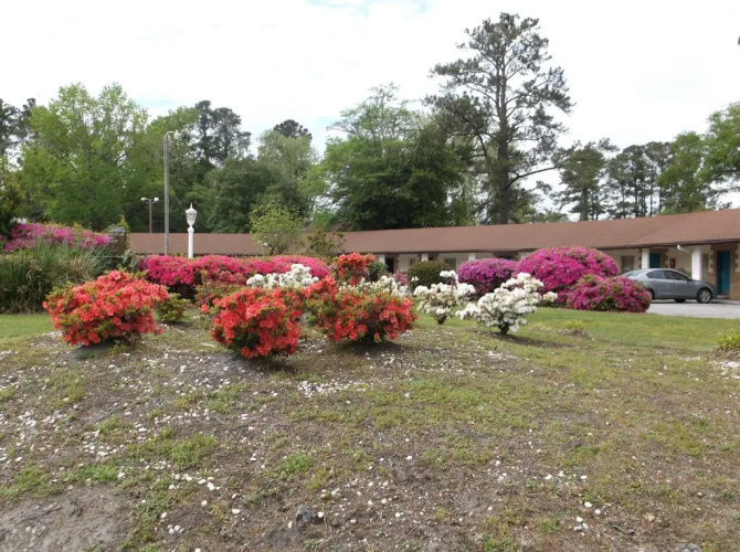 Azalea Inn & Suites
