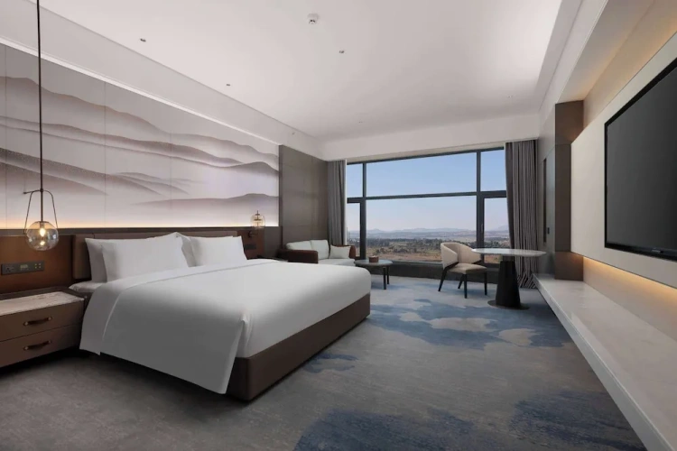Deluxe Double room with city view