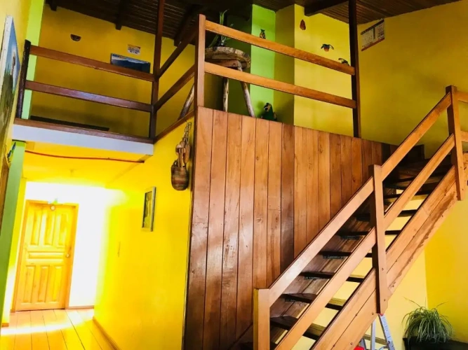Bed in Dorm
