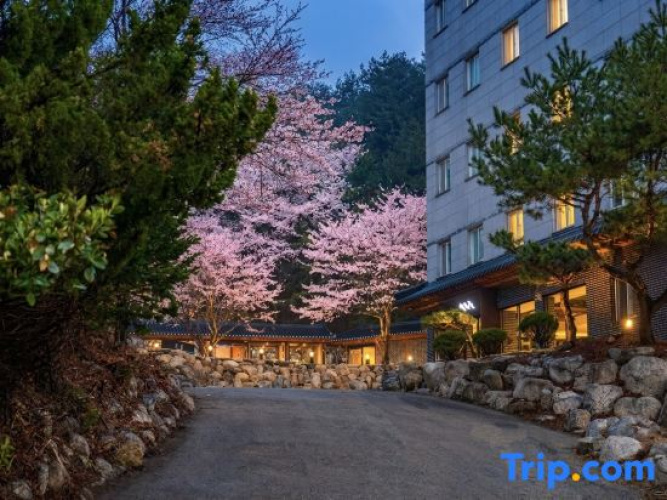 Yeonhwamun Hotel Yangyang