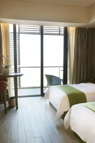 Deluxe room with balcony and with city view