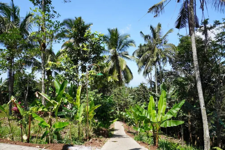 Purwa Ijen