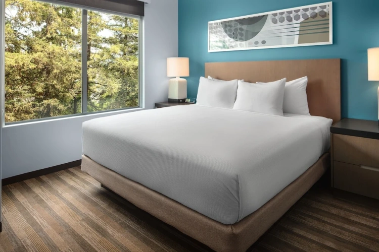 1 Bedroom Double Suite