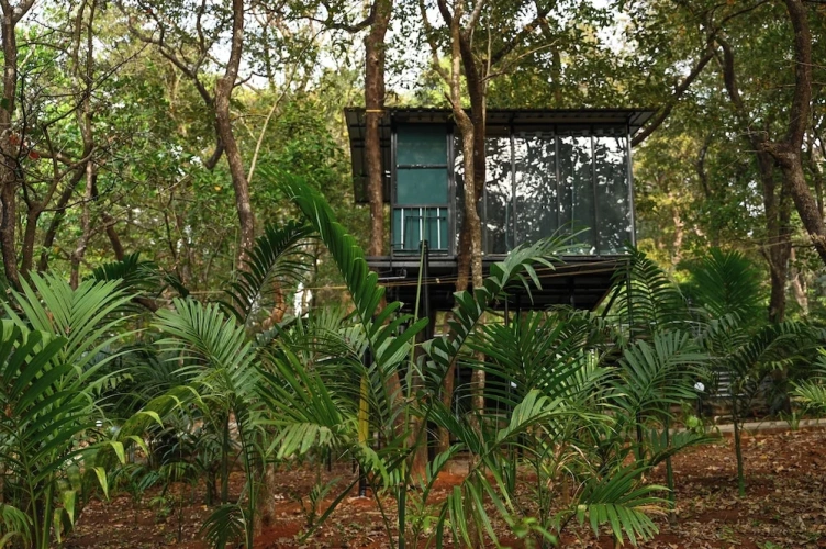 Comfort Cottage