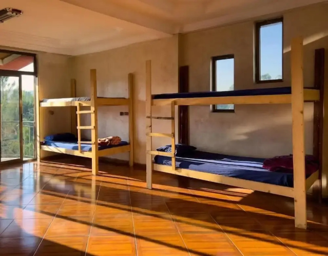 Mad Vervet Hostel - Addis
