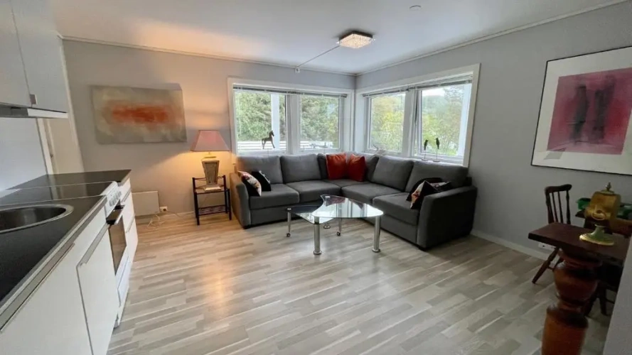 1 Bedroom Apartment with view
