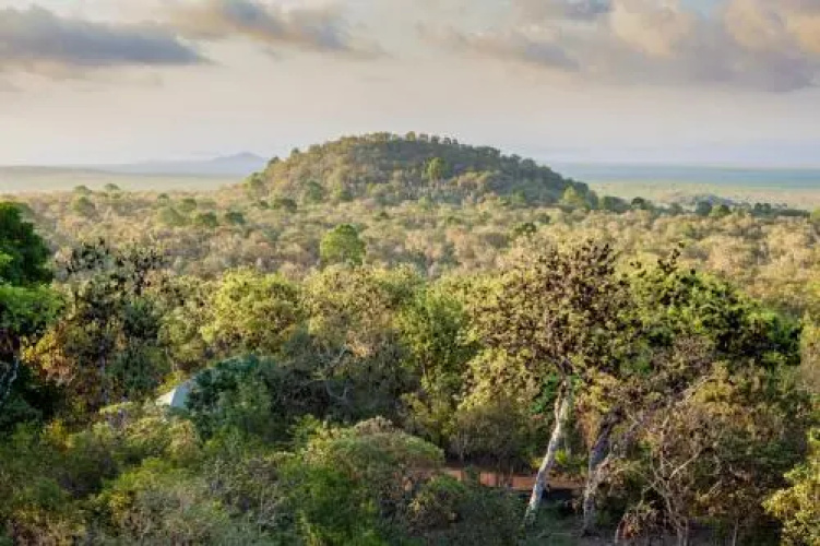 Galapagos Safari Camp