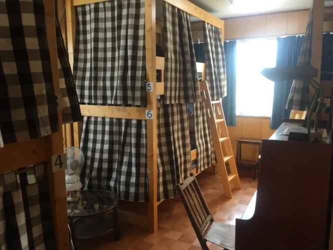 Bed in Dorm