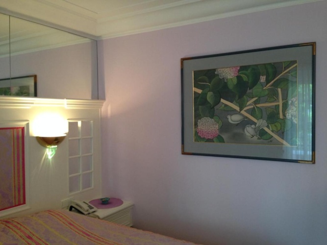 Deluxe Double room with balcony and with partial view