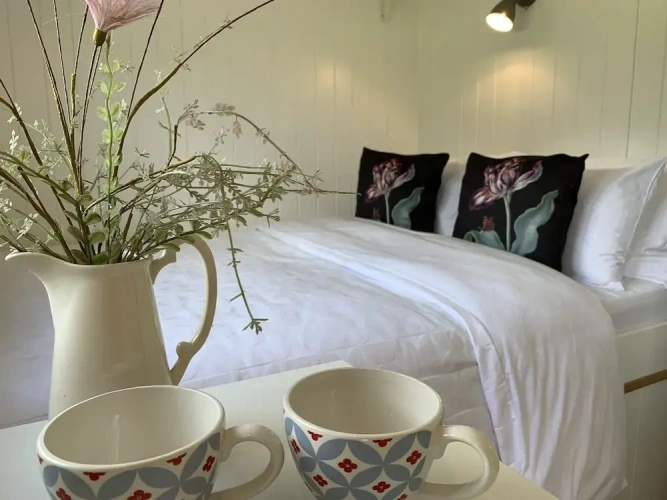 Standard Double room with garden view