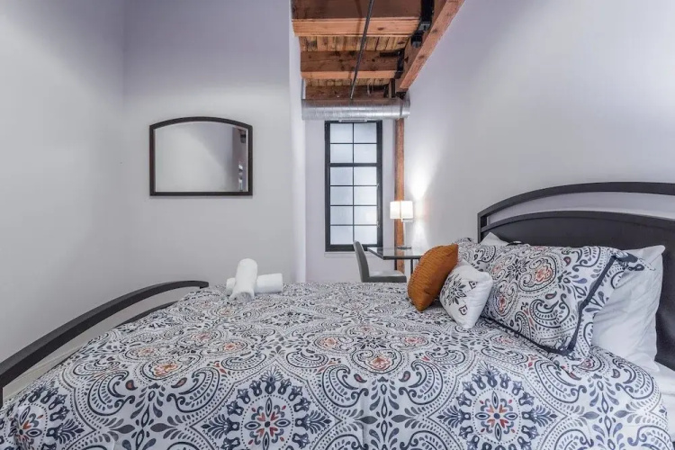 3 BDR Downtown Luxury Loft-spacious, Safe & Secure