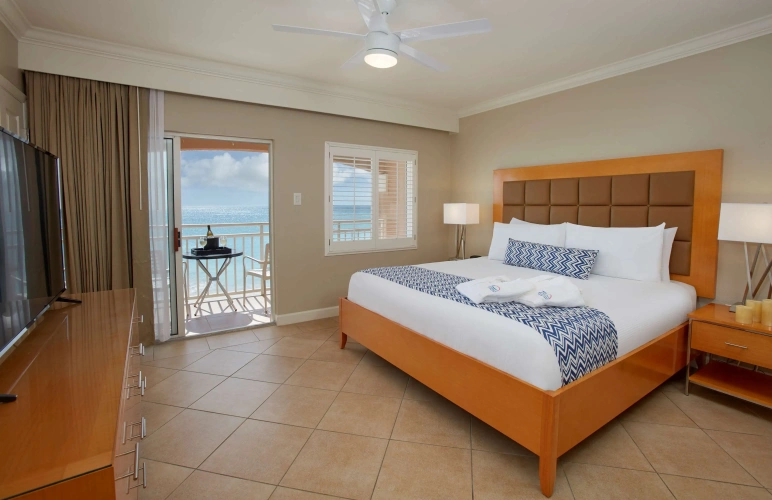 1 Bedroom Suite
