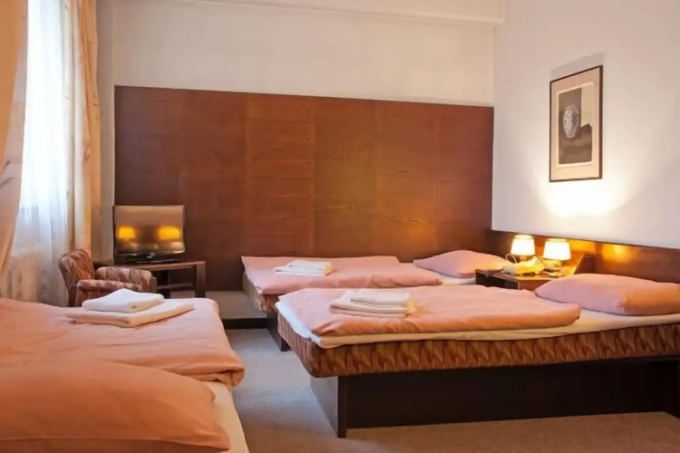 Hotel Merkur