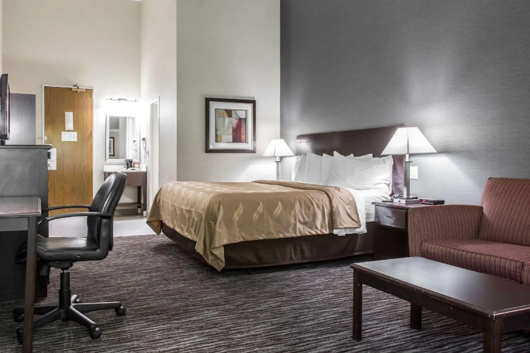 1 Bedroom Suite