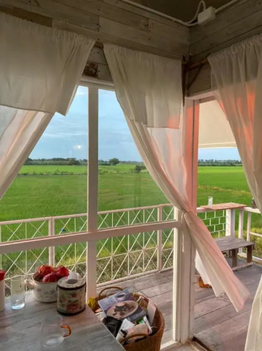 The 99 Cottage (บ้านทุ่งบางปลาม้า)