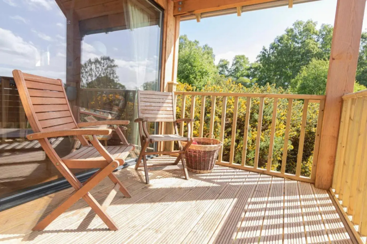 Birdwatcher's Cabin
