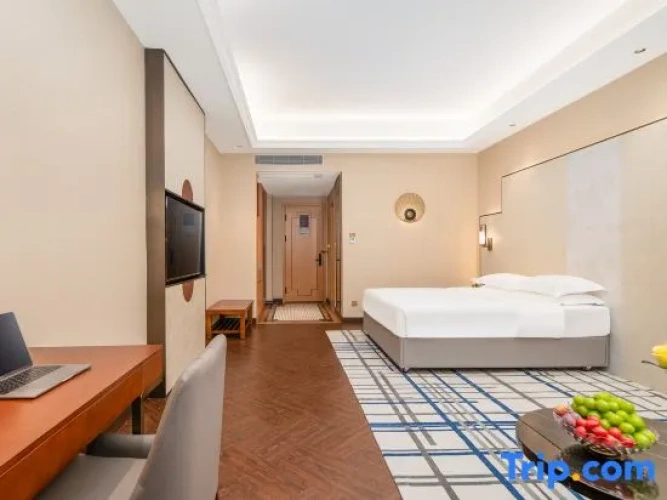 Premier Double room with city view