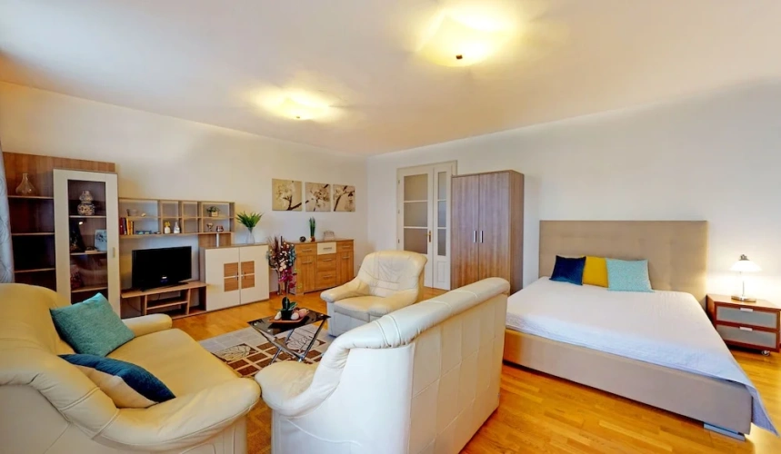 1 Bedroom Apartment