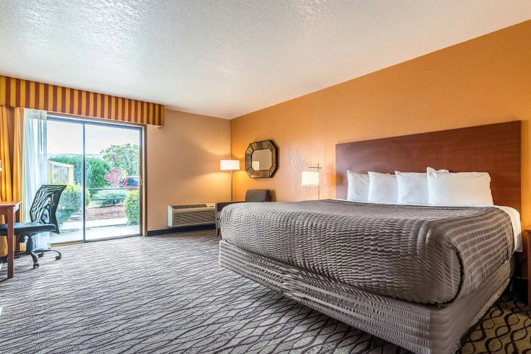 Standard Double room with pool view