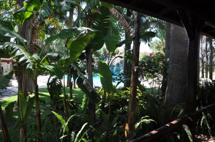 Standard Double room with garden view