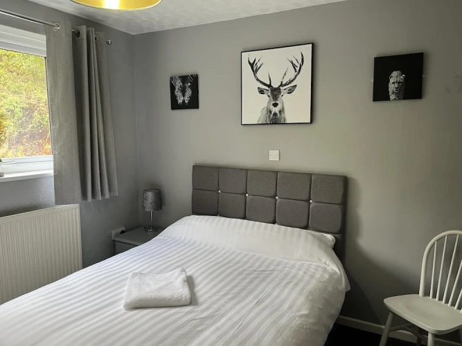 Classic Single room