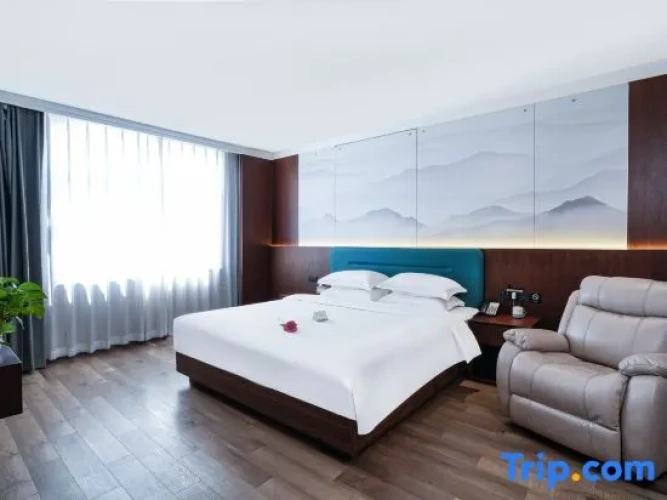 1 Bedroom Suite