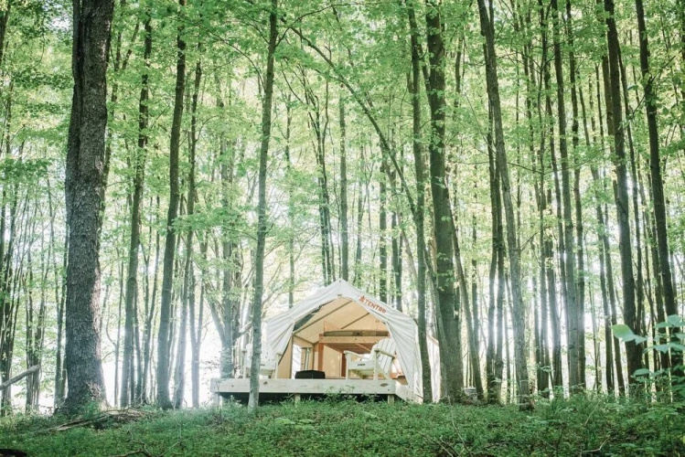 Tentrr â Hollow Tree Camp