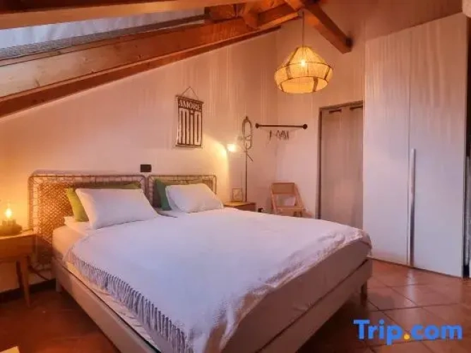 Standard Double room with lake view