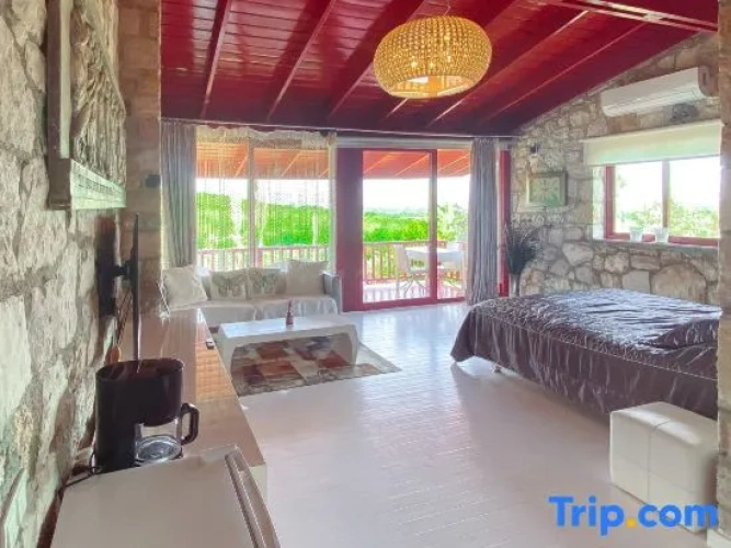 Villa with view