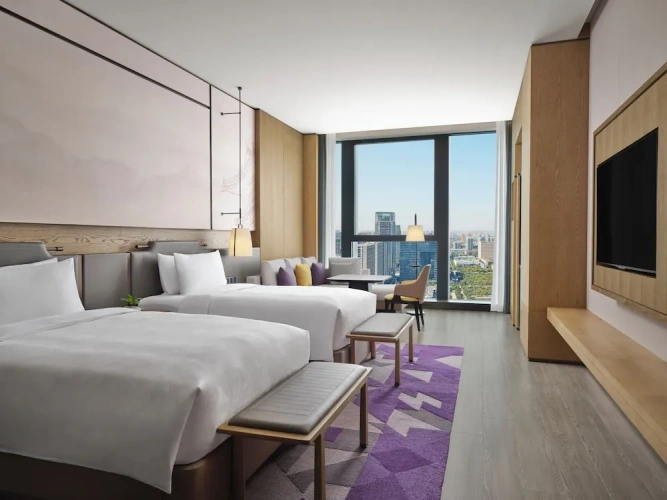 Deluxe Twin room with city view
