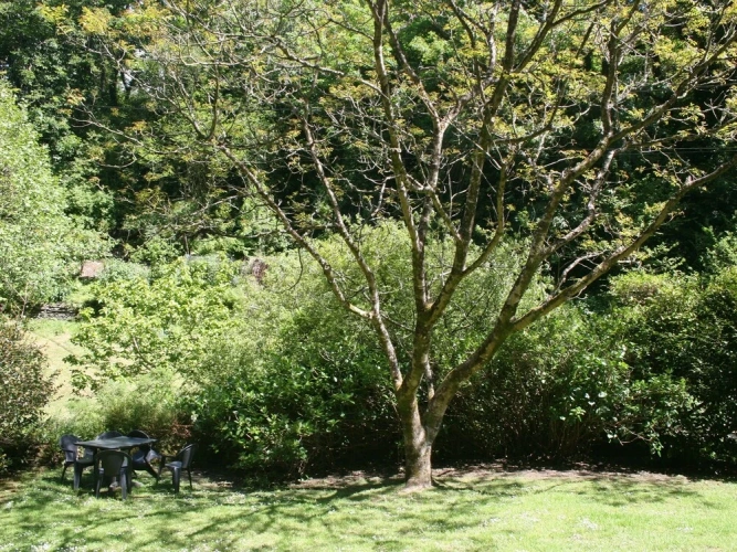 Cottage