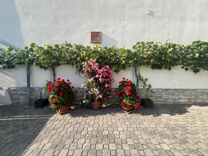 Zimmervermietung Barth